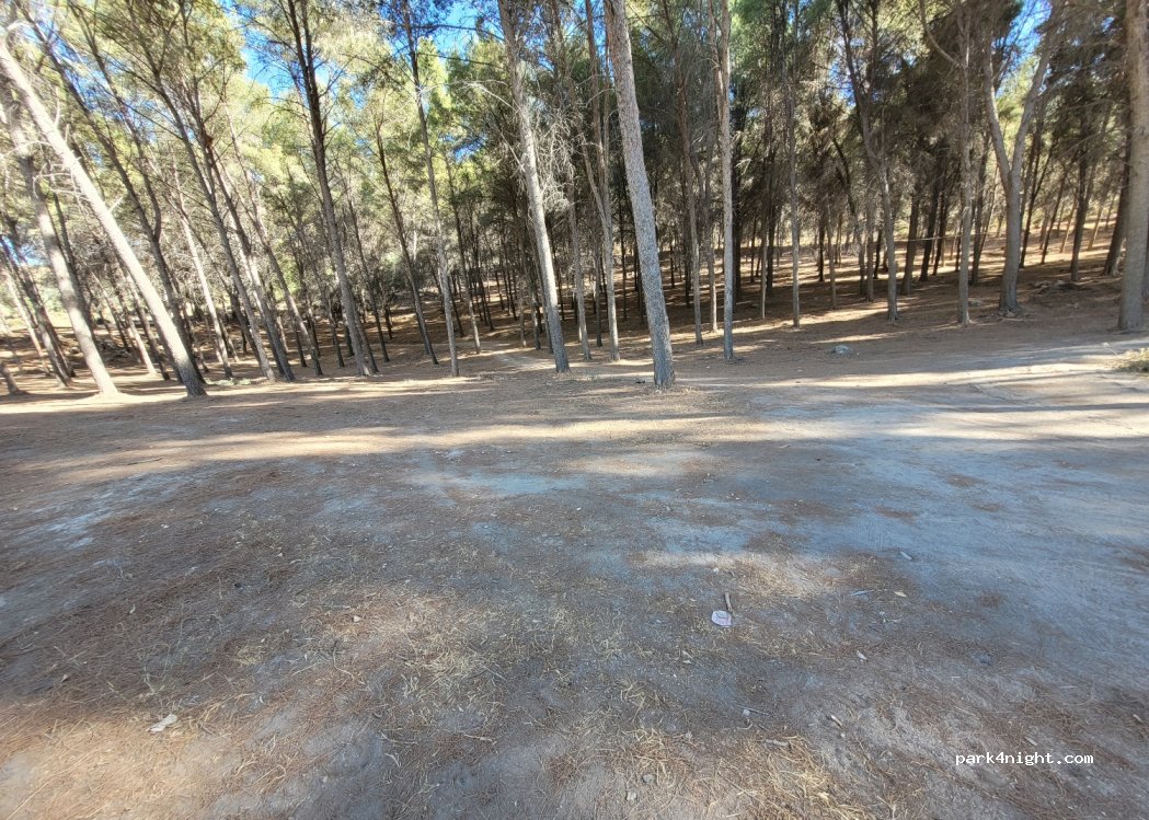 (41530) Sevilla - 8A Carretera Montellano A-361 — foto 4