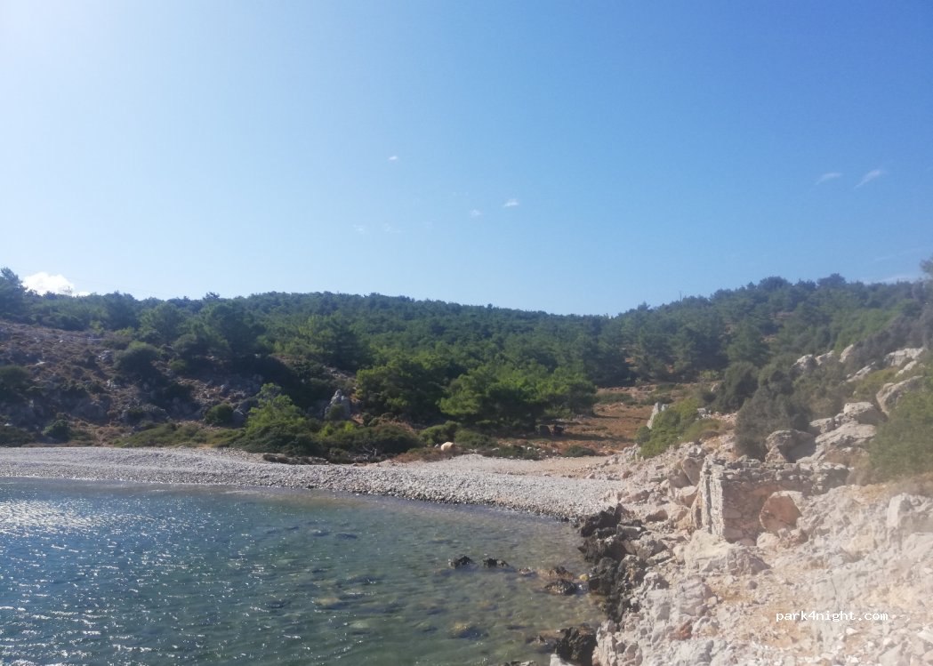 (823 00) Kardamila - — foto
