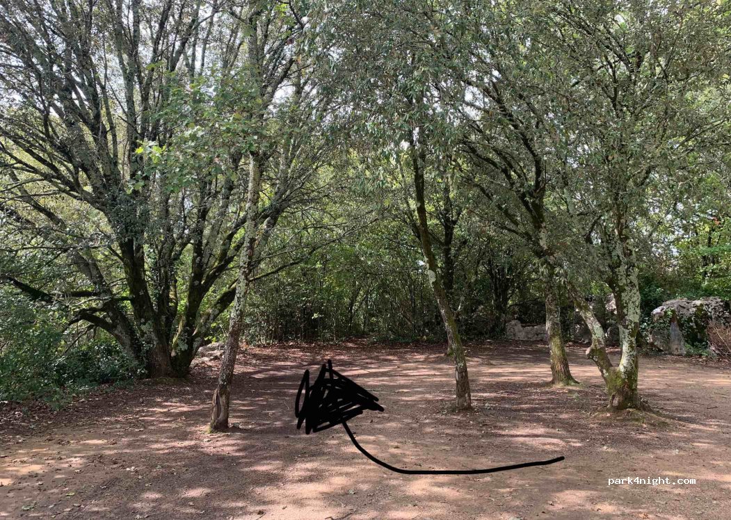 (07120) Labeaume - 571 Chemin de Faveirolle — foto