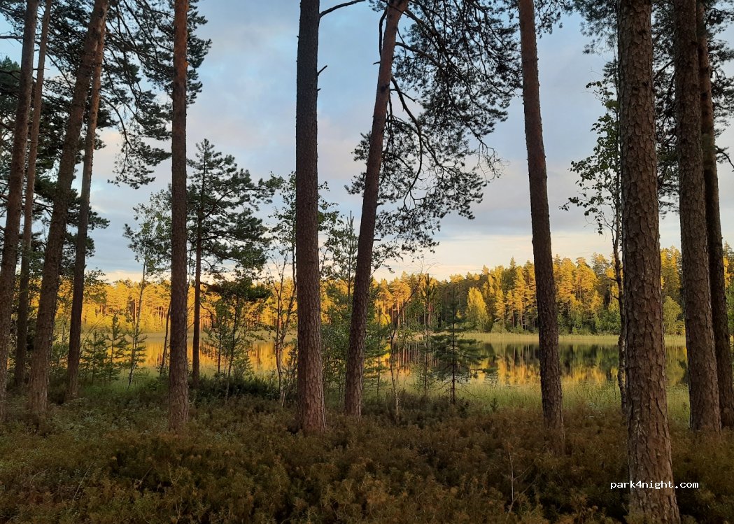 (63503) Ihamaru - Vooreküla-Puskaru — foto 3