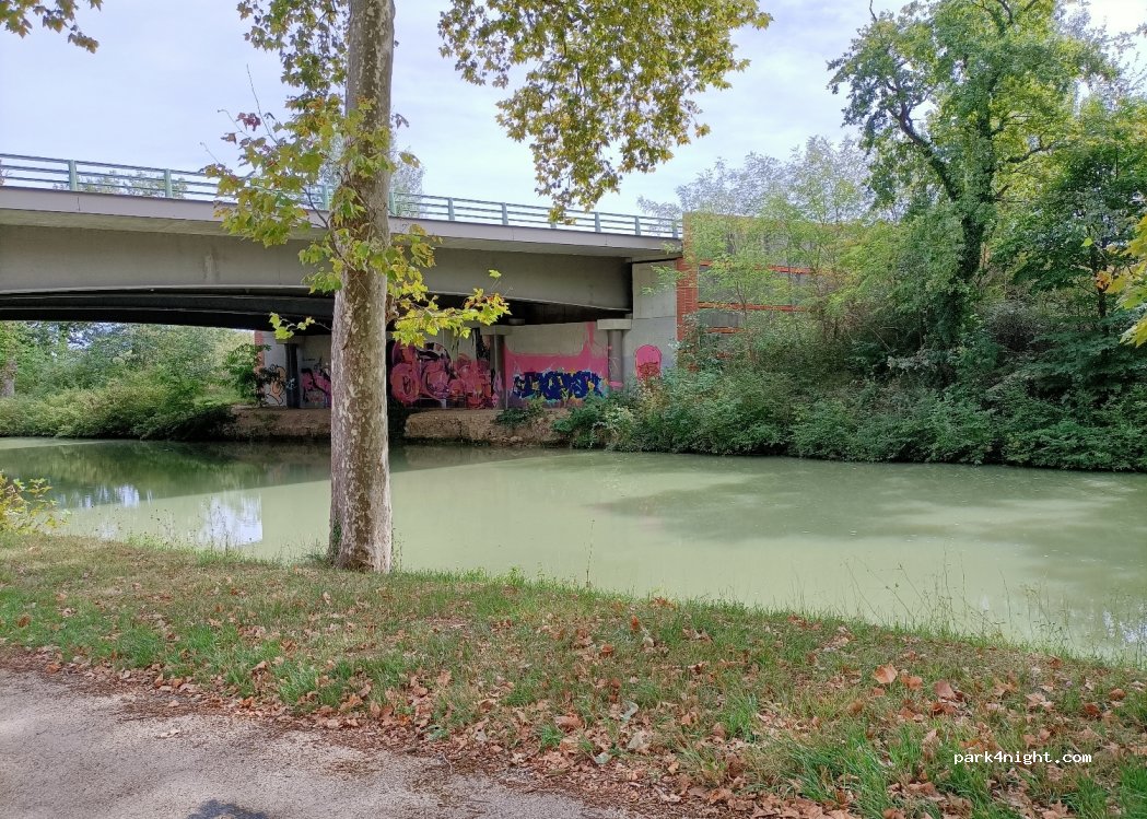 (31450) Montesquieu-Lauragais - D500 — foto