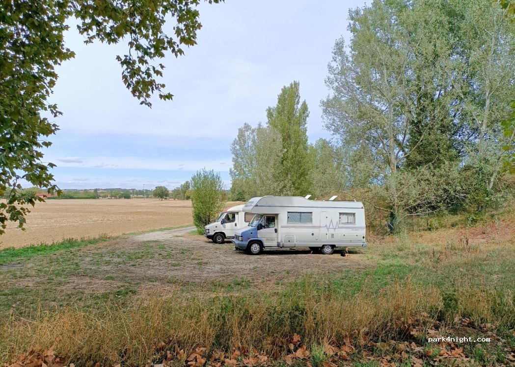 (31450) Montesquieu-Lauragais - D500 — foto 2