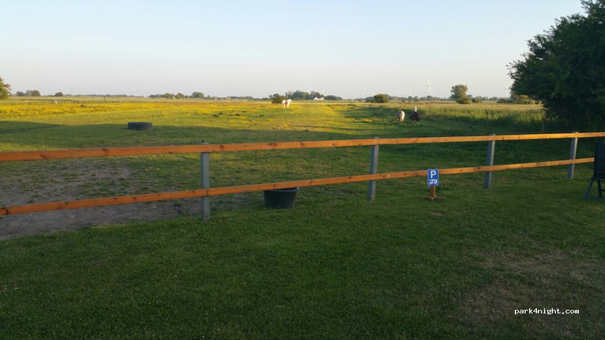 Stellplatz an der Pferdekoppel — foto