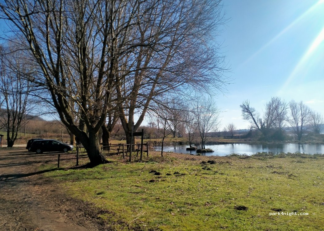 (01032) Caprarola  - Unnamed Road — foto 2