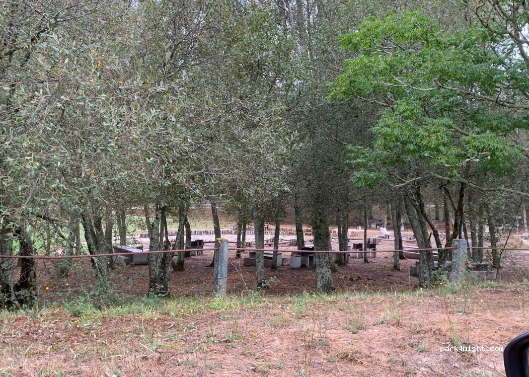 (4630) Paredes de Viadores - M584 — foto 3