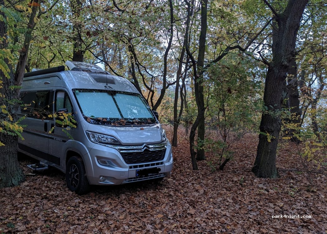 (14542) Werder - — foto 3