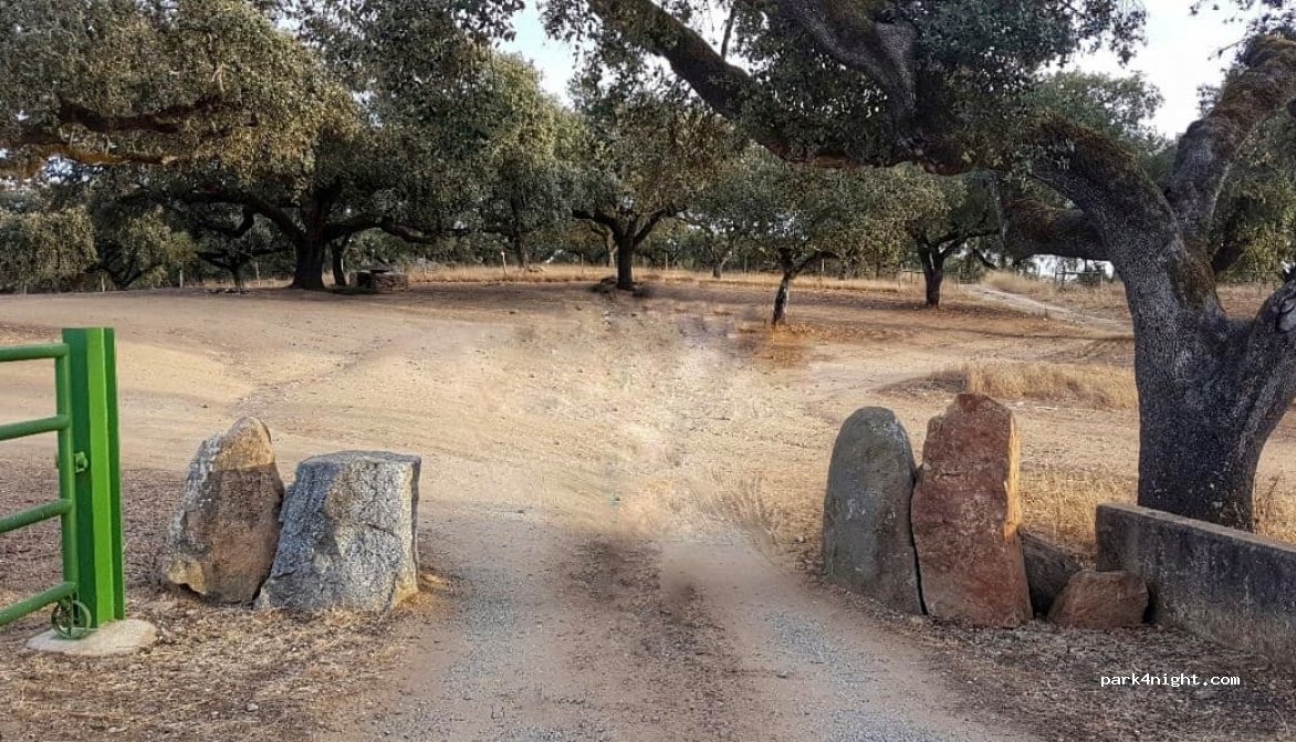 (7050)  - Unnamed Road — foto 2