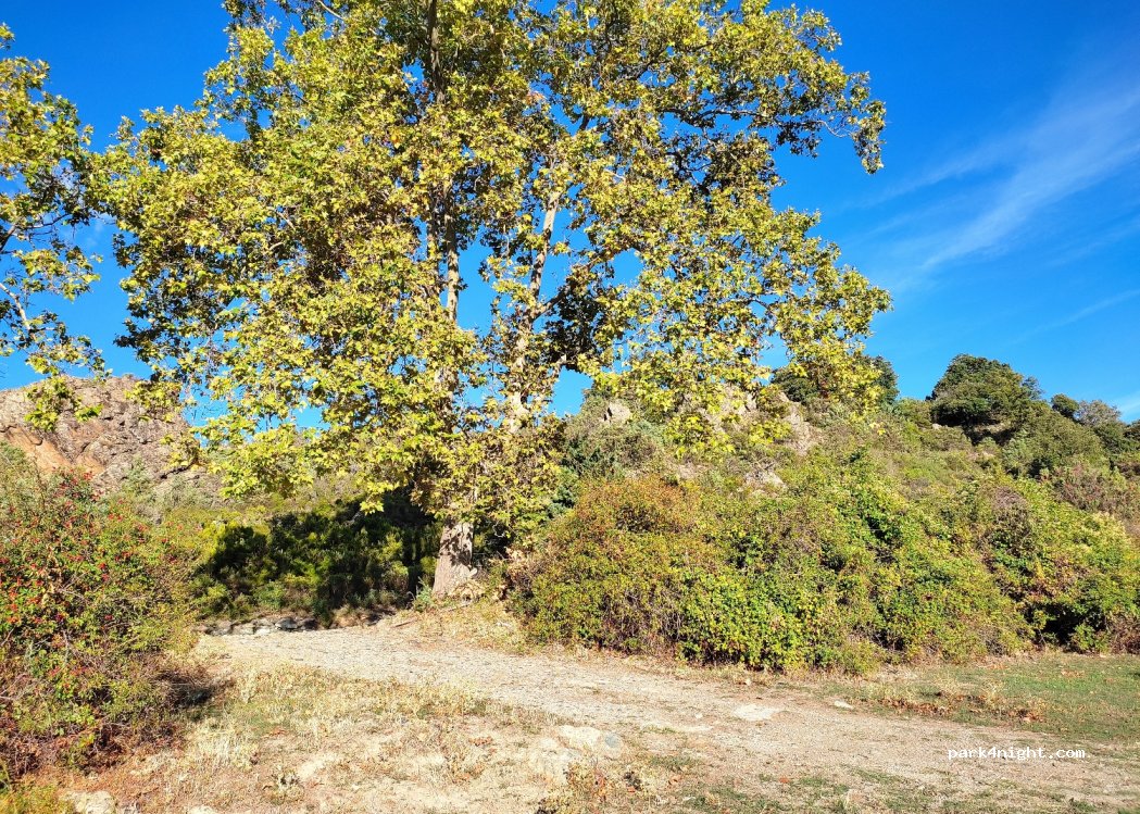 (20218) Morosaglia - — foto 2
