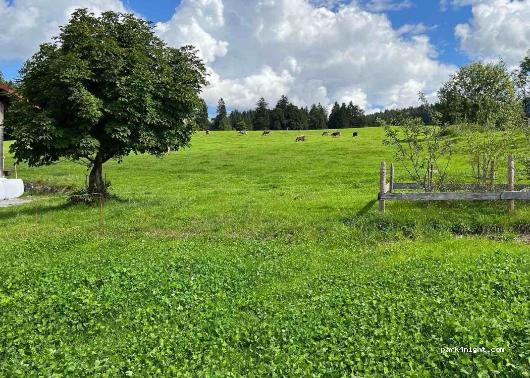Wohnmobilstellplatz Sunnesidde Hochweiler/Altstädten — foto 3