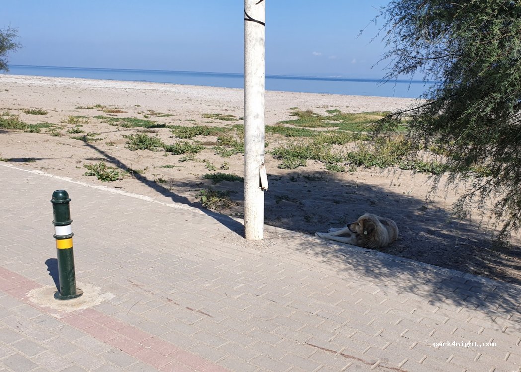 (16970) Mudanya - Mesudiye Sahil Yolu — foto 2