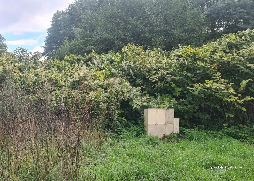 (70290) Champagney - 5 Rue du Plain — foto 3