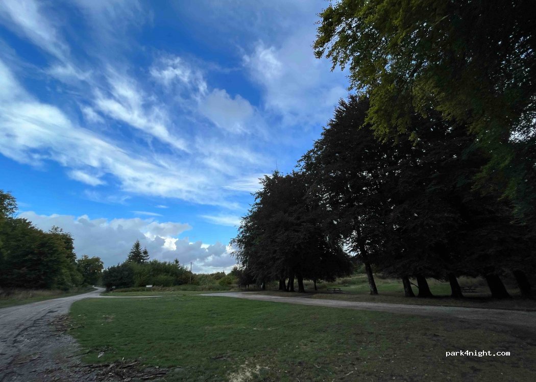 (62340) Guines - La Forêt de Guînes — foto