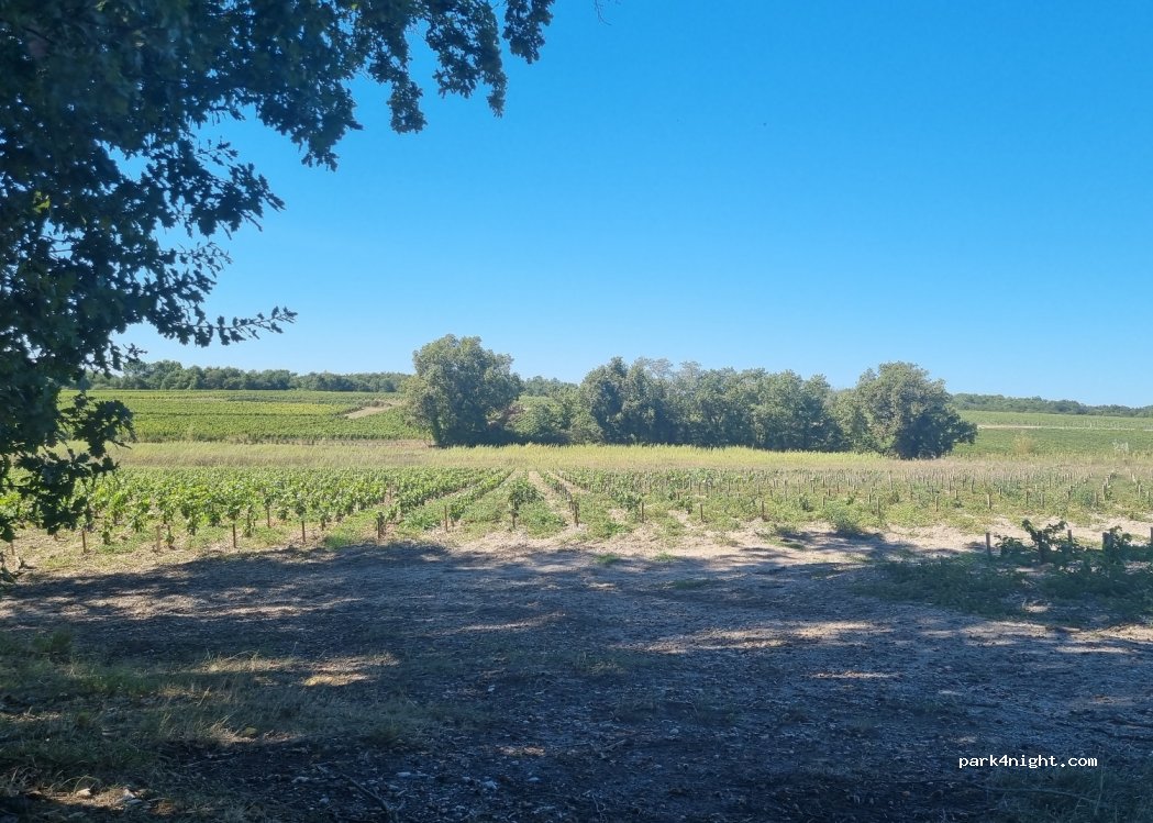 (33480) Moulis-en-Médoc - — foto