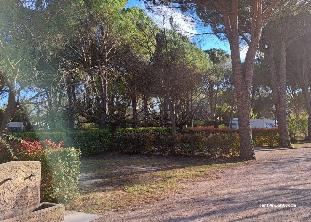 Camping Municipal Bellerive — foto 3