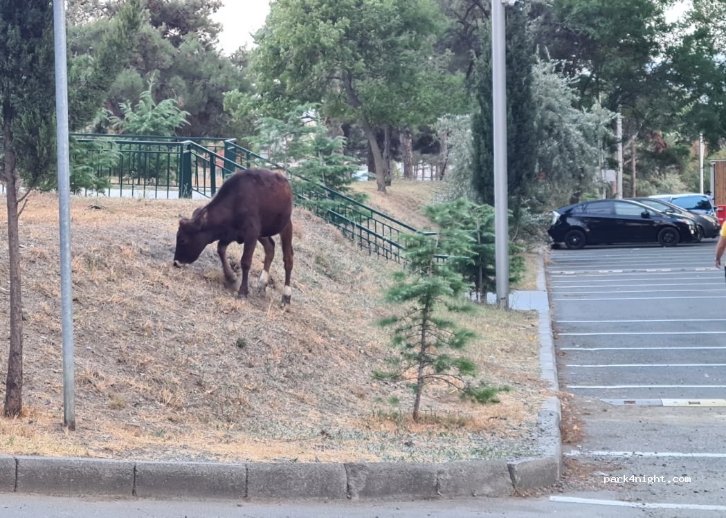 (0179) T'bilisi - 2 Beritashvili Street — foto