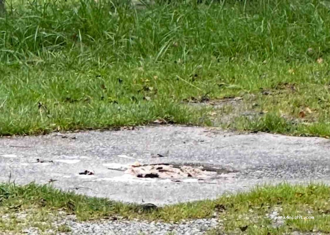 Camping Krimmler Wasserfälle — foto 5