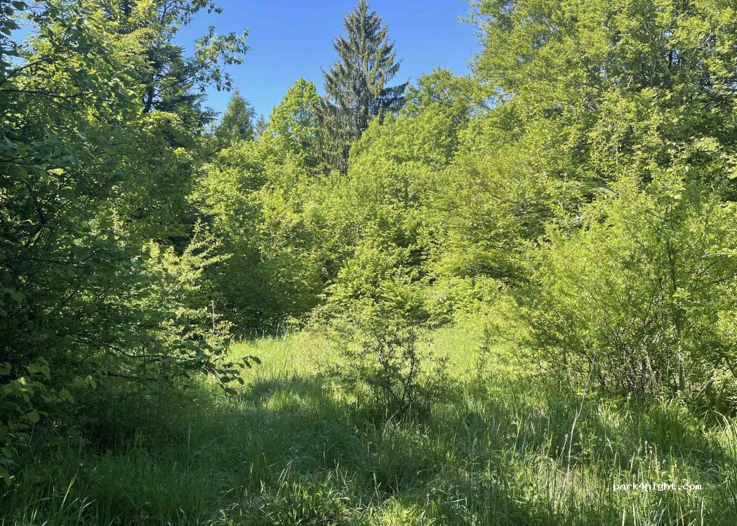 (39150) La Chaux-du-Dombief - 21 Hameau des Rollets — foto 3
