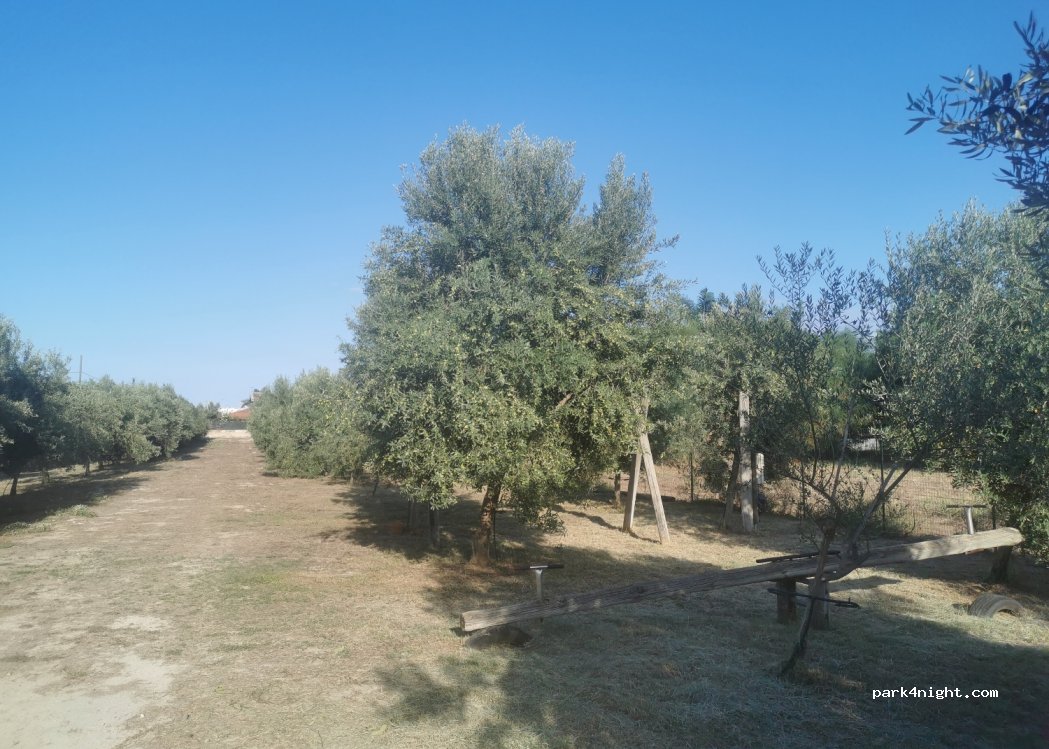 Area Attrezzata Camper Nelly — foto 3