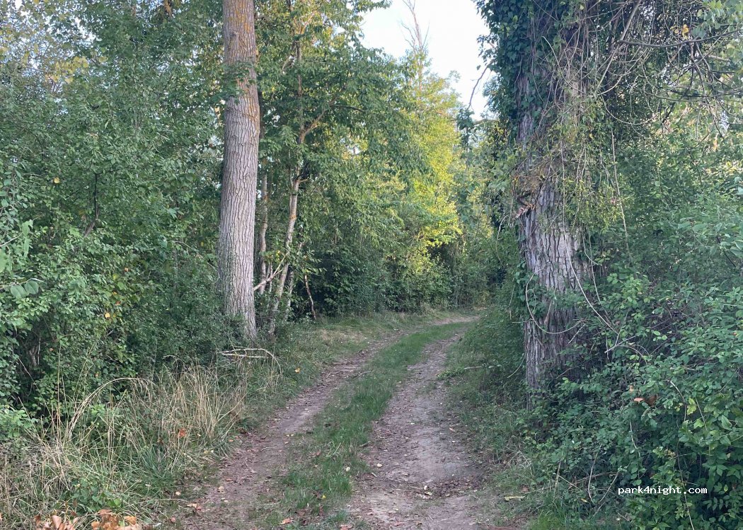 (89140) Michery - 5 Chemin du Prieuré Sixte — foto