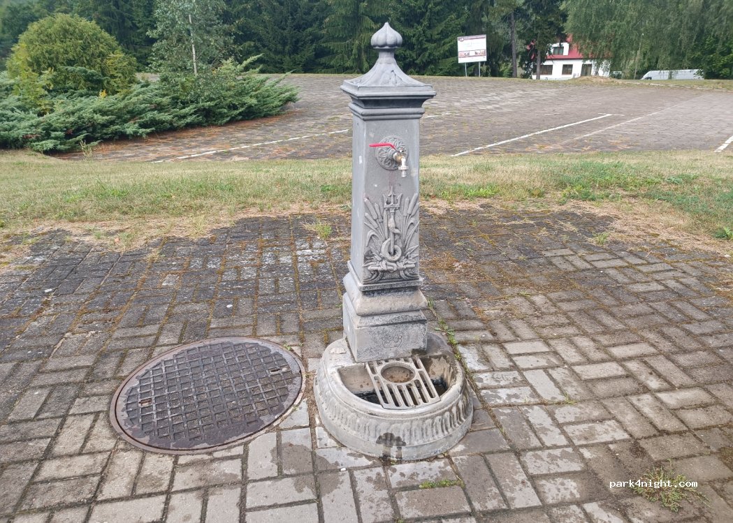 (11-440) Święta Lipka - — foto 2
