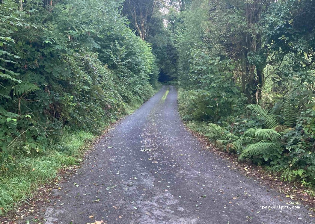 (R42) Glenafilly - — foto