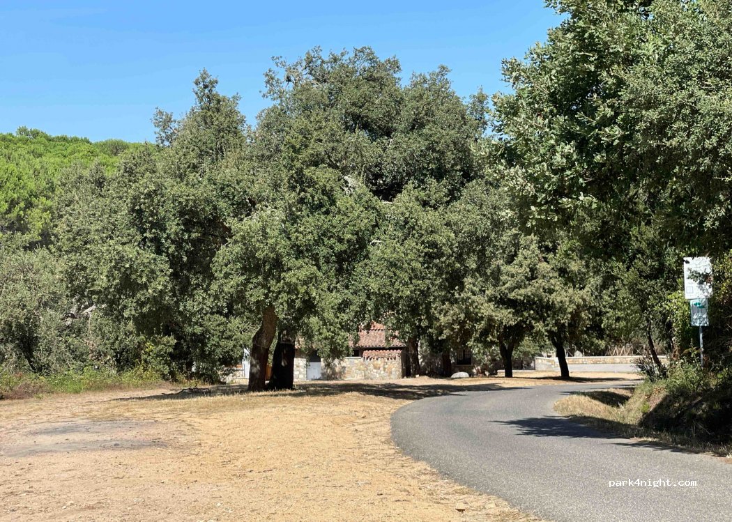 (08036) Ortueri - Unnamed Road — foto