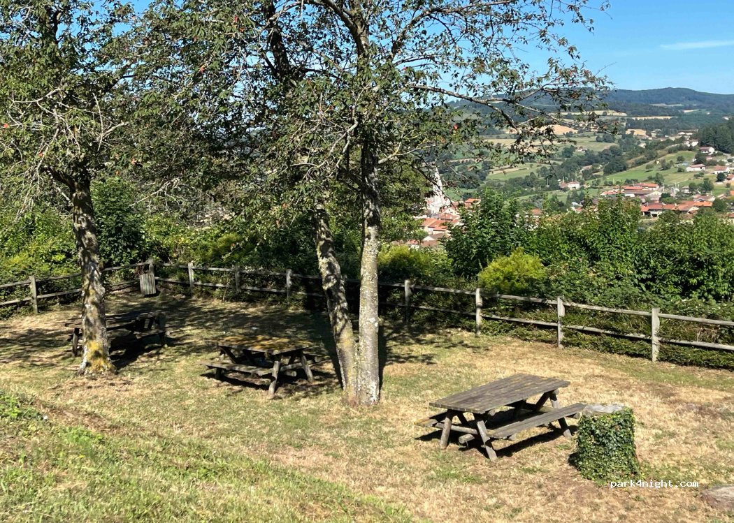 (42260) Saint-Martin-la-Sauveté - 42260 Les Rapeaux — foto 3