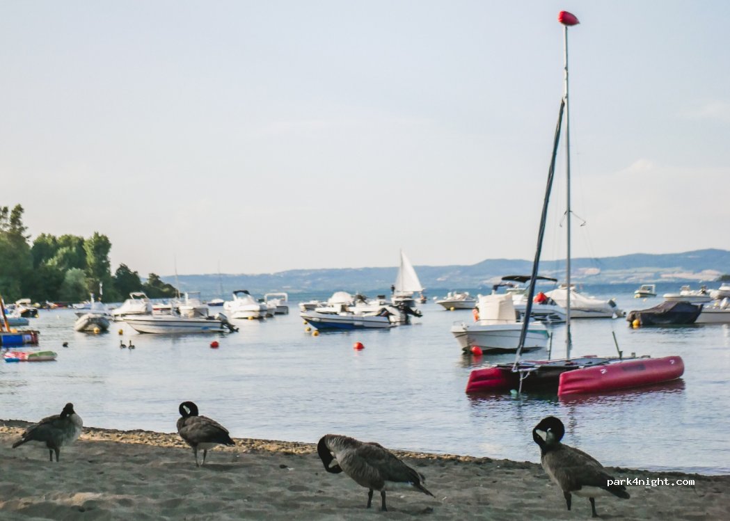 La Perla del Lago — foto 4