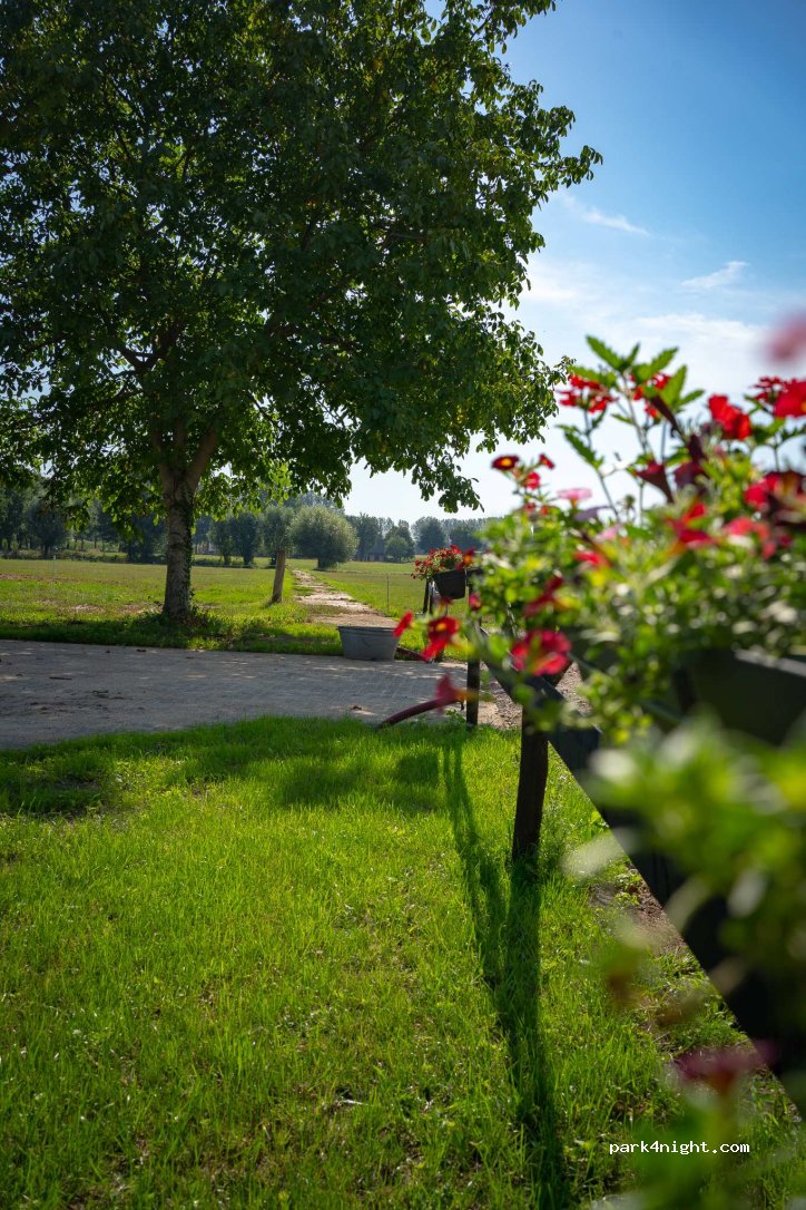 Camperplaats Raamhoeve — foto 5