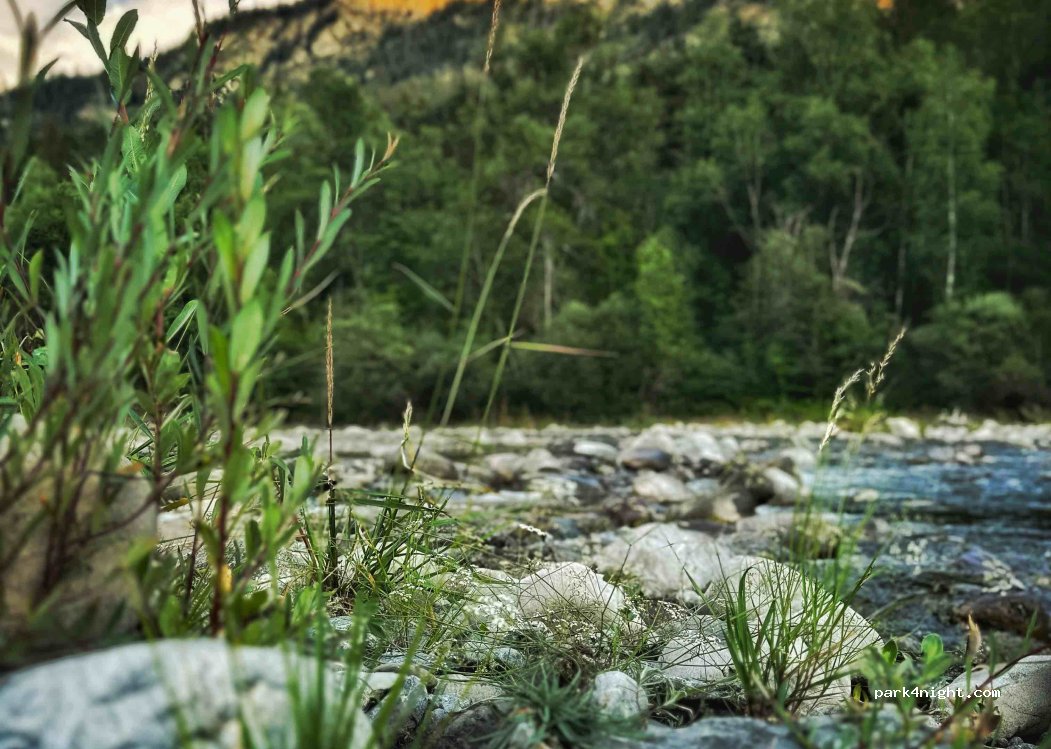 Camping Le Haut Verdon — foto 4