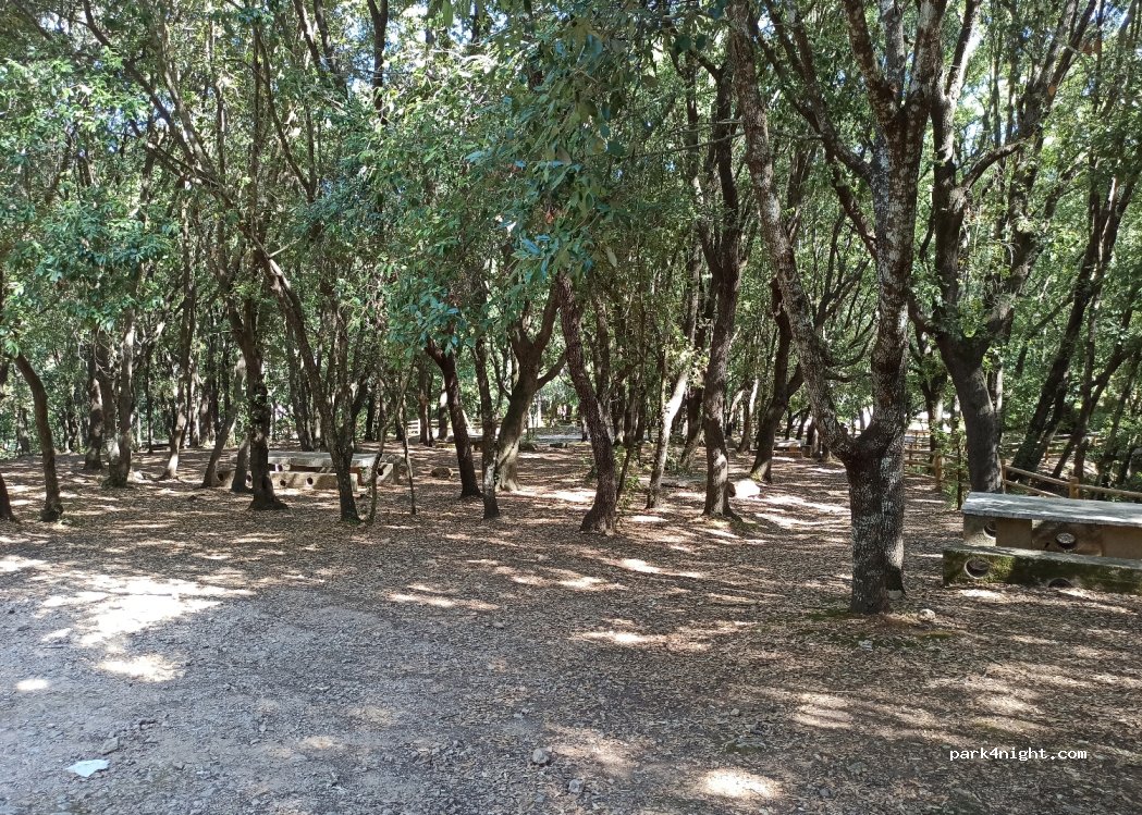 (08047) Jerzu - Unnamed Road — foto