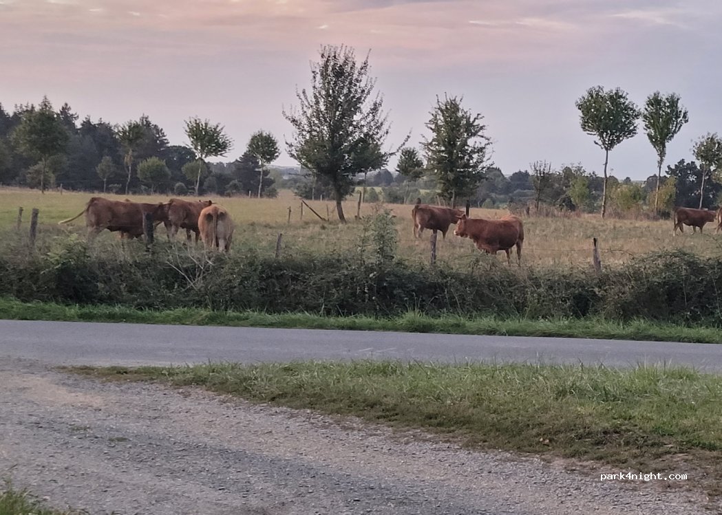 (49122) Bégrolles-en-Mauges - Route de Bellefontaine — foto 4
