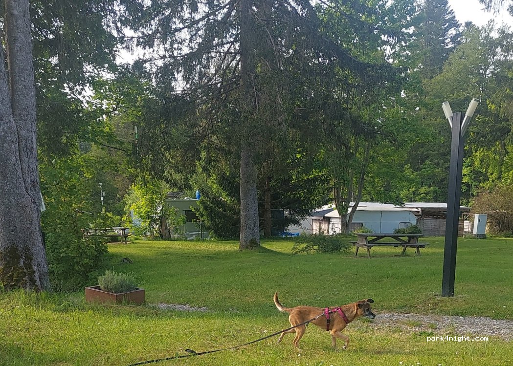 Camping Bois du Couvent — foto 4
