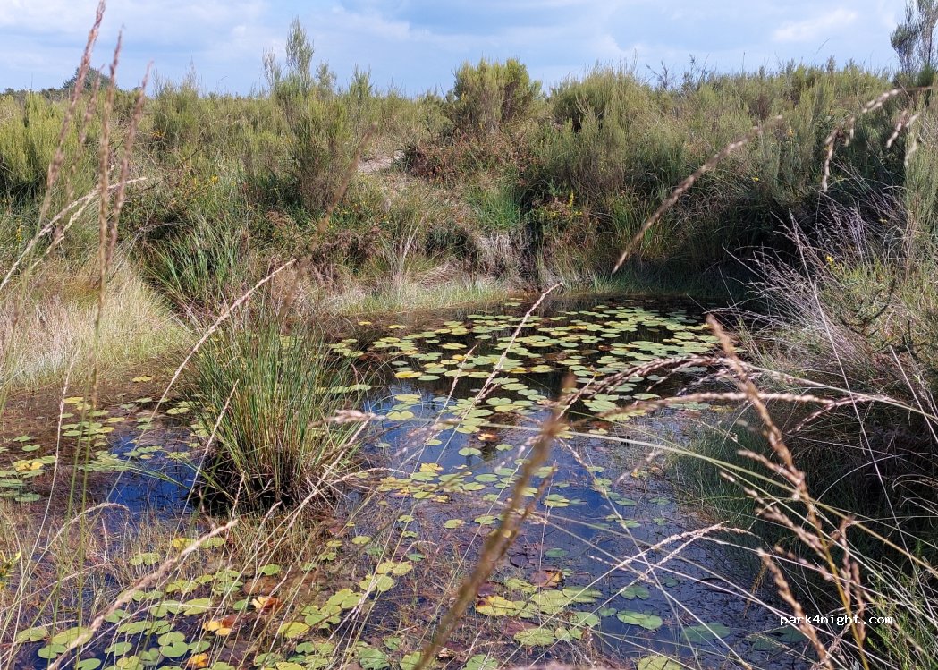 (86210) Vouneuil-sur-Vienne - Beauregard — foto 4