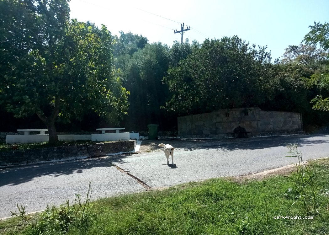 (24011) Aetos - Sellas - Dorio — foto 2