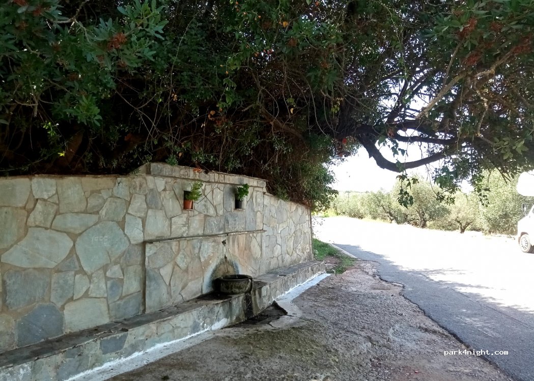 (24011) Aetos - Sellas - Dorio — foto 3