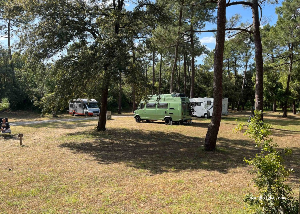 Camping LES SAUMONARDS — foto 3