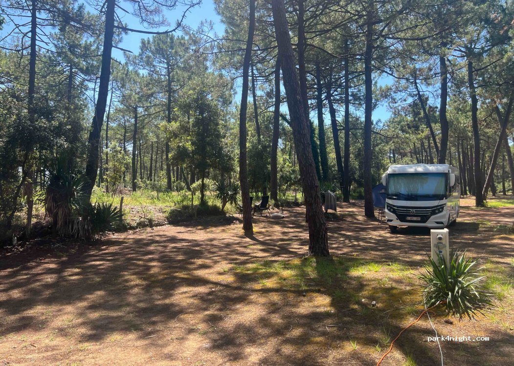 Camping LES SAUMONARDS — foto 4