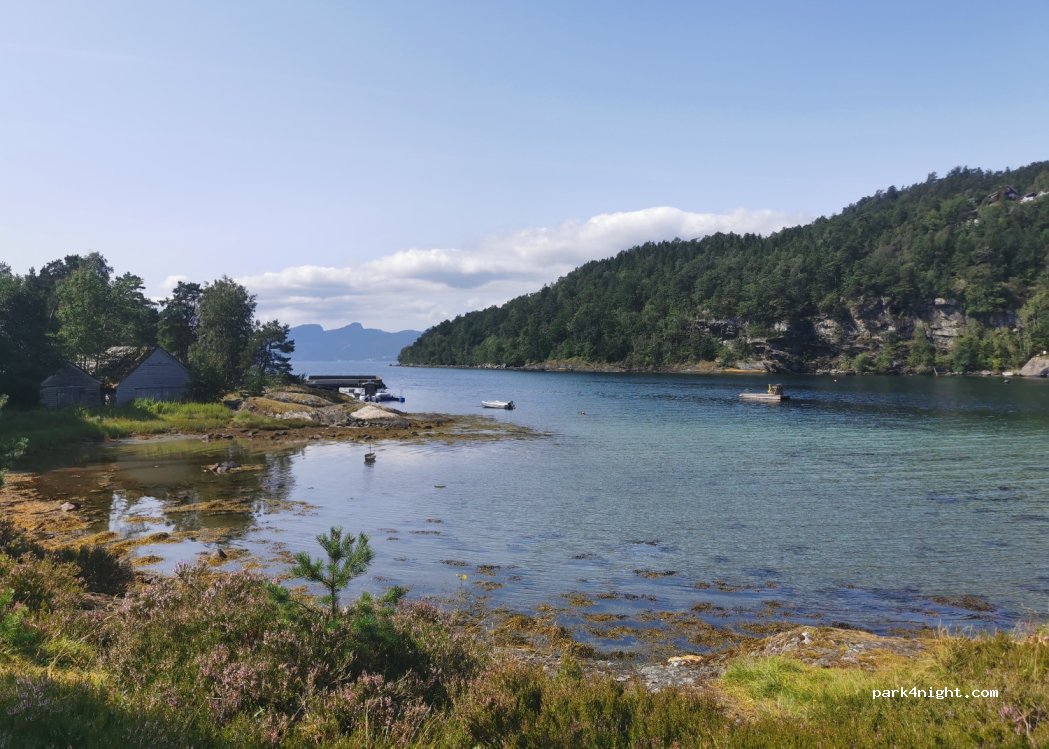 (5620) Tørvikbygd - 84 Tangavegen — foto 4