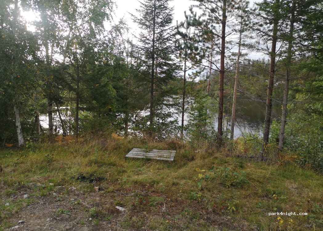 (3624) Lyngdal i Numedal - Unnamed road — foto