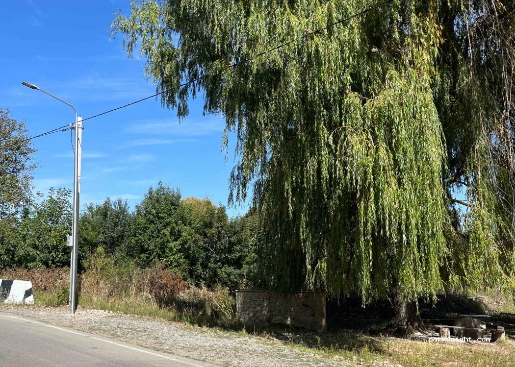 () Gudanelebi - Gudanelebi-Magraneti — foto 2