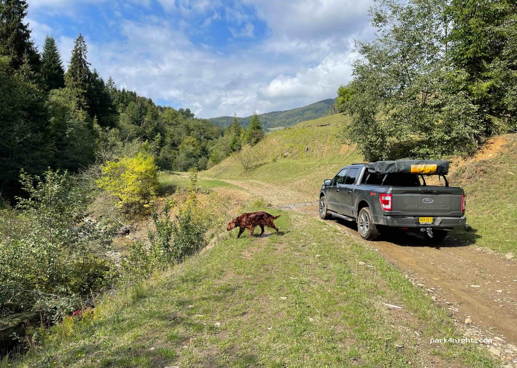 (89010) Stuzhytsya - — foto 2