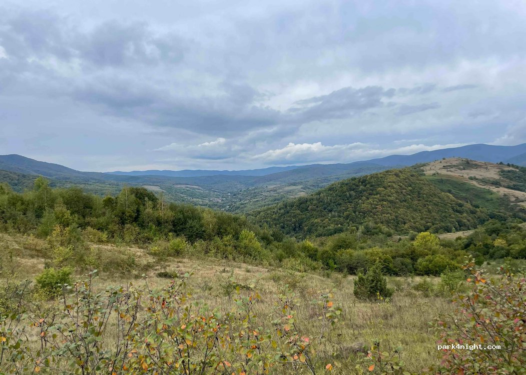 (89010) Stuzhytsya - — foto 3