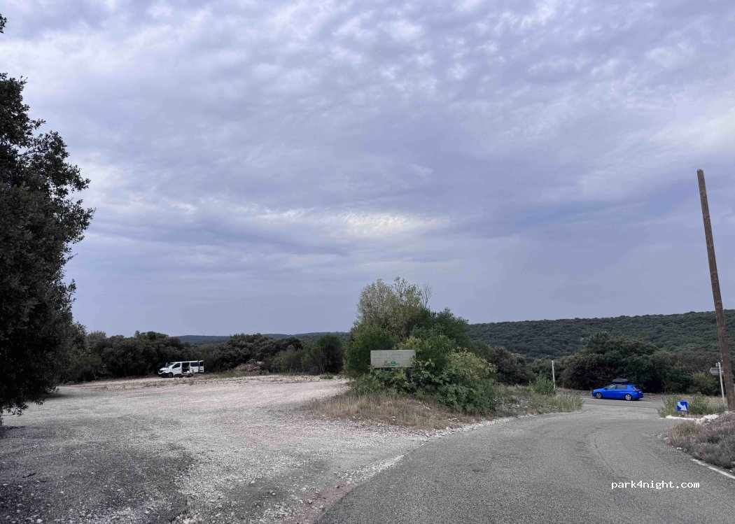 (07700) Bidon - D290 — foto 4