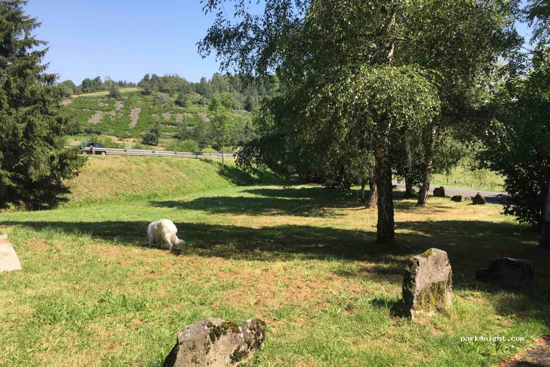 (63950) Saint-Sauves-d'Auvergne - D922 — foto