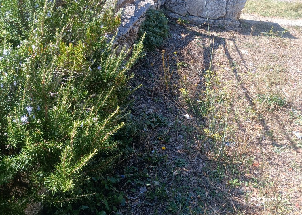 (07035) Sedini - Via Giardino Sanna — foto 4