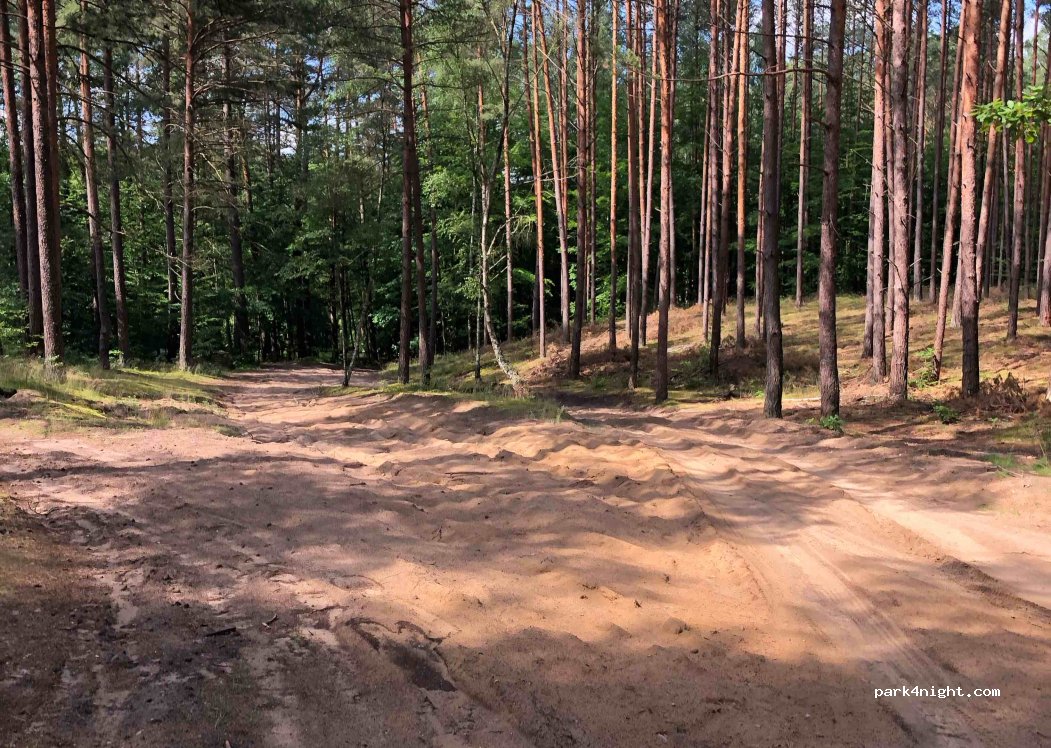 (73) Zatom - Unnamed Road — foto 2