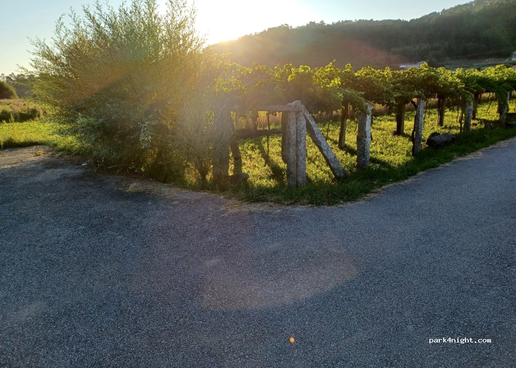 (36616) Pontevedra - Unnamed road — foto 4