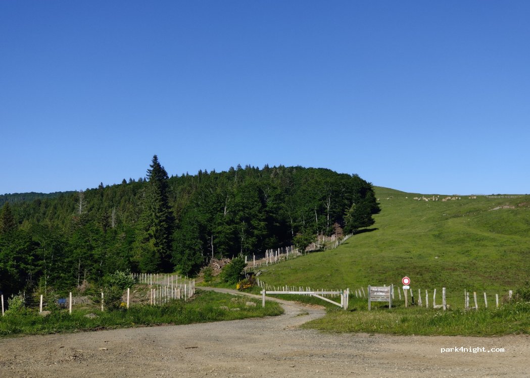 (12470) Saint-Chély-d'Aubrac - D987 — foto 3