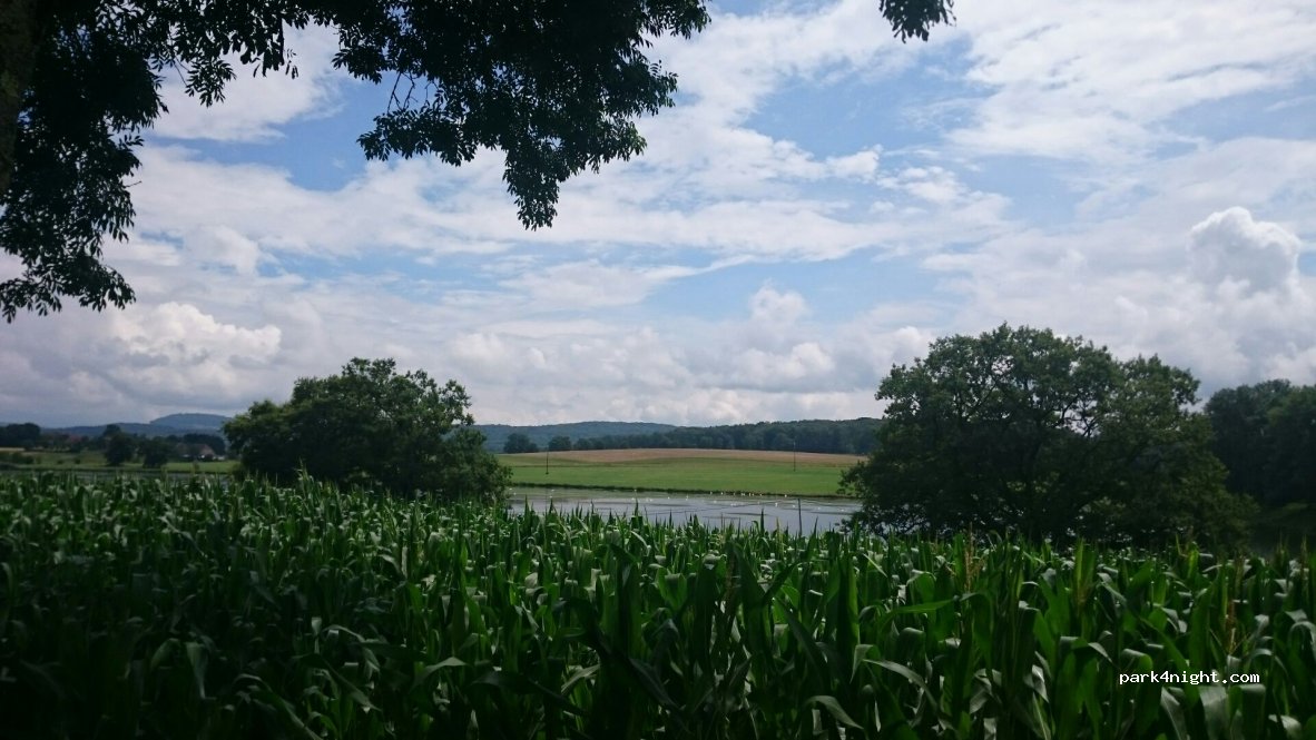 (70110) Les Magny - D88 — foto 2